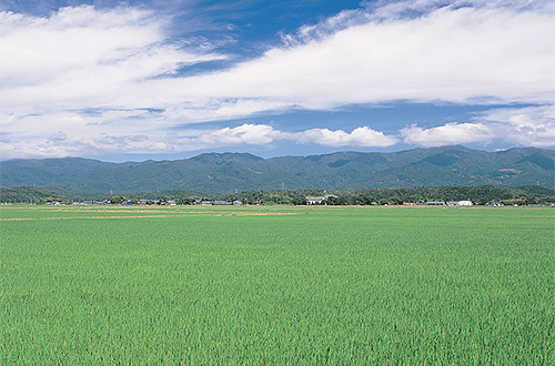 新潟県阿賀野市情報