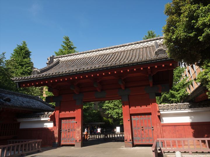 文京区　東大