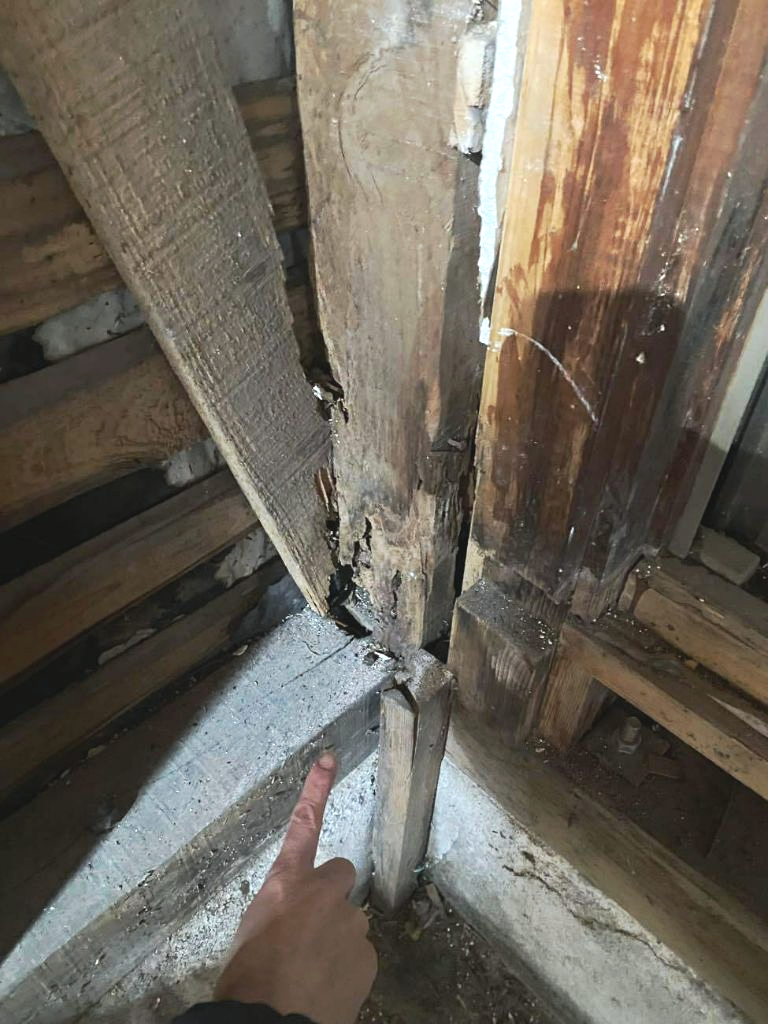 耐震等級3リフォームの解体後検査における柱脚・土台の劣化確認