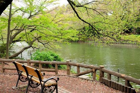 板橋区　いたばし花火大会