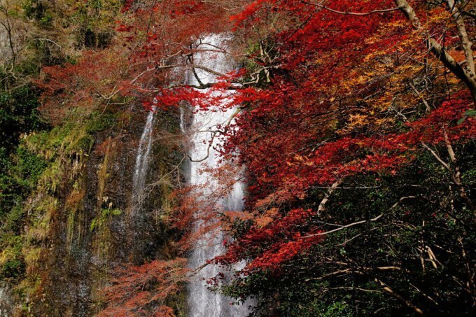 箕面の滝