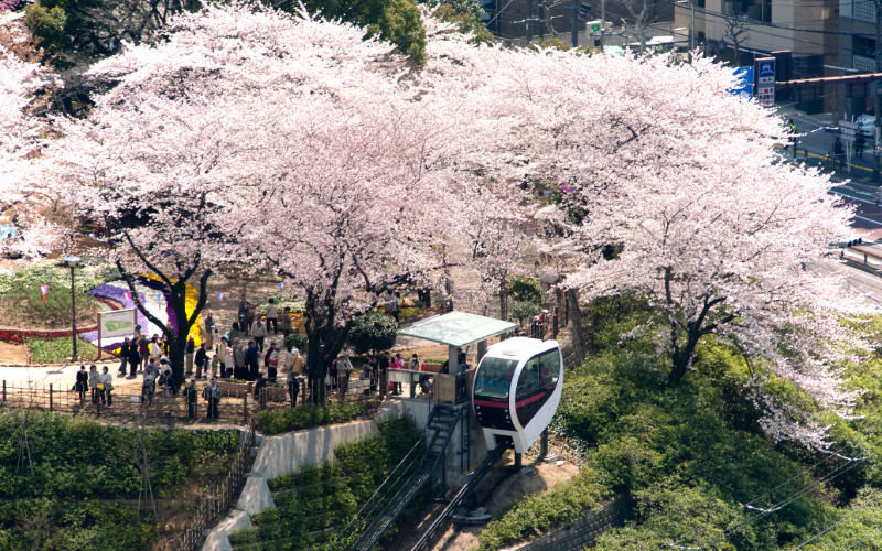 北区　飛鳥山公園