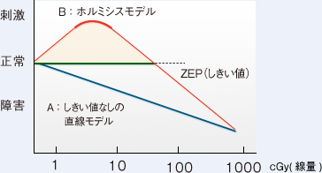 炭の重要性　炭はどこからきたの？