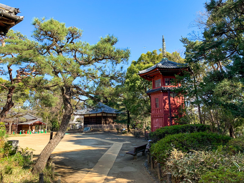 中野区　四季の森公園