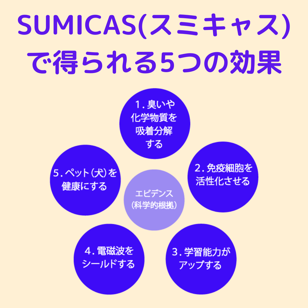 SUMICASで得られる5つの効果