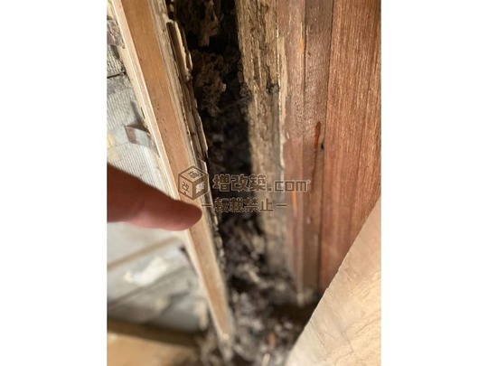 ハーフスケルトン　柱の腐食