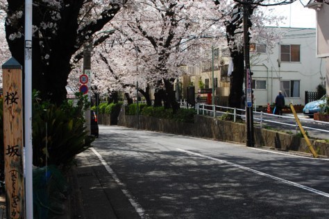 大田区　桜坂