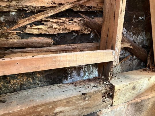 杉並区H様　解体