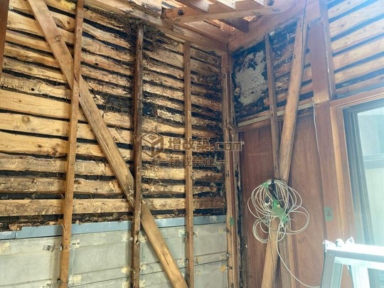 ハーフスケルトン　腐食ヵ所