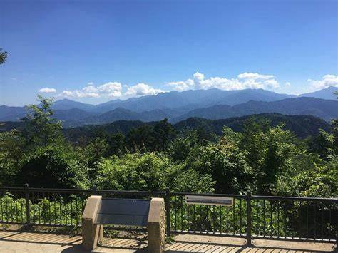 八王子市　高尾山