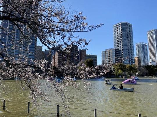 台東区　上野公園