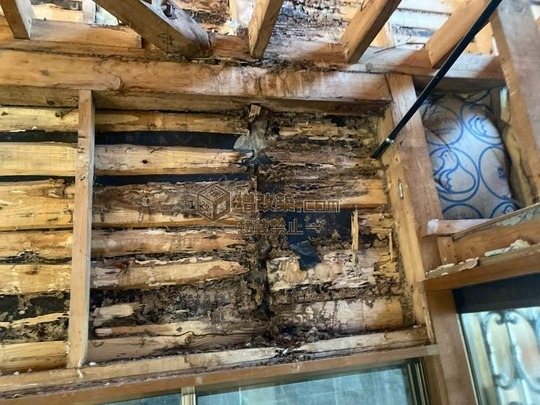 ハーフスケルトン　腐食ヵ所