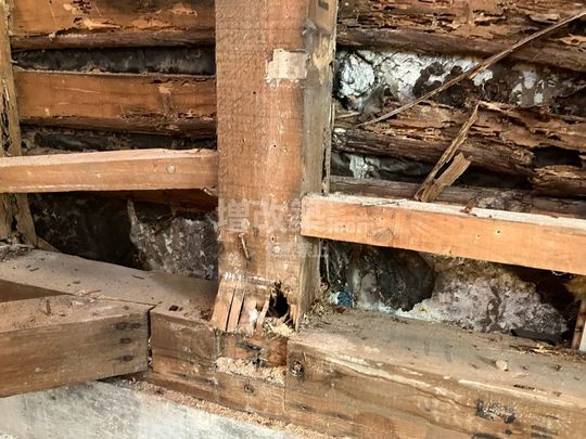 杉並区H様　解体