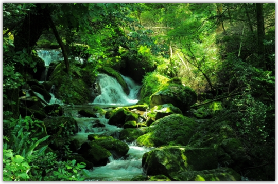 炭の重要性　マイナスイオン効果