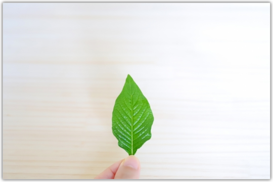 炭の重要性　空気清浄効果